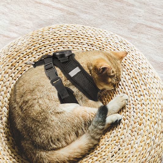 AirTag Cat Harness and Leash
