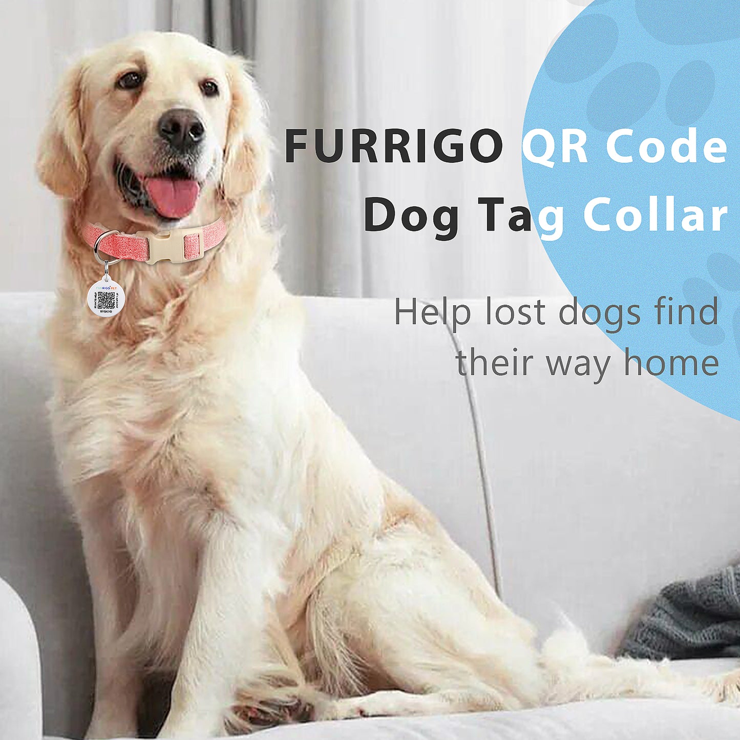 Dog Collar with QR Code ID Tag