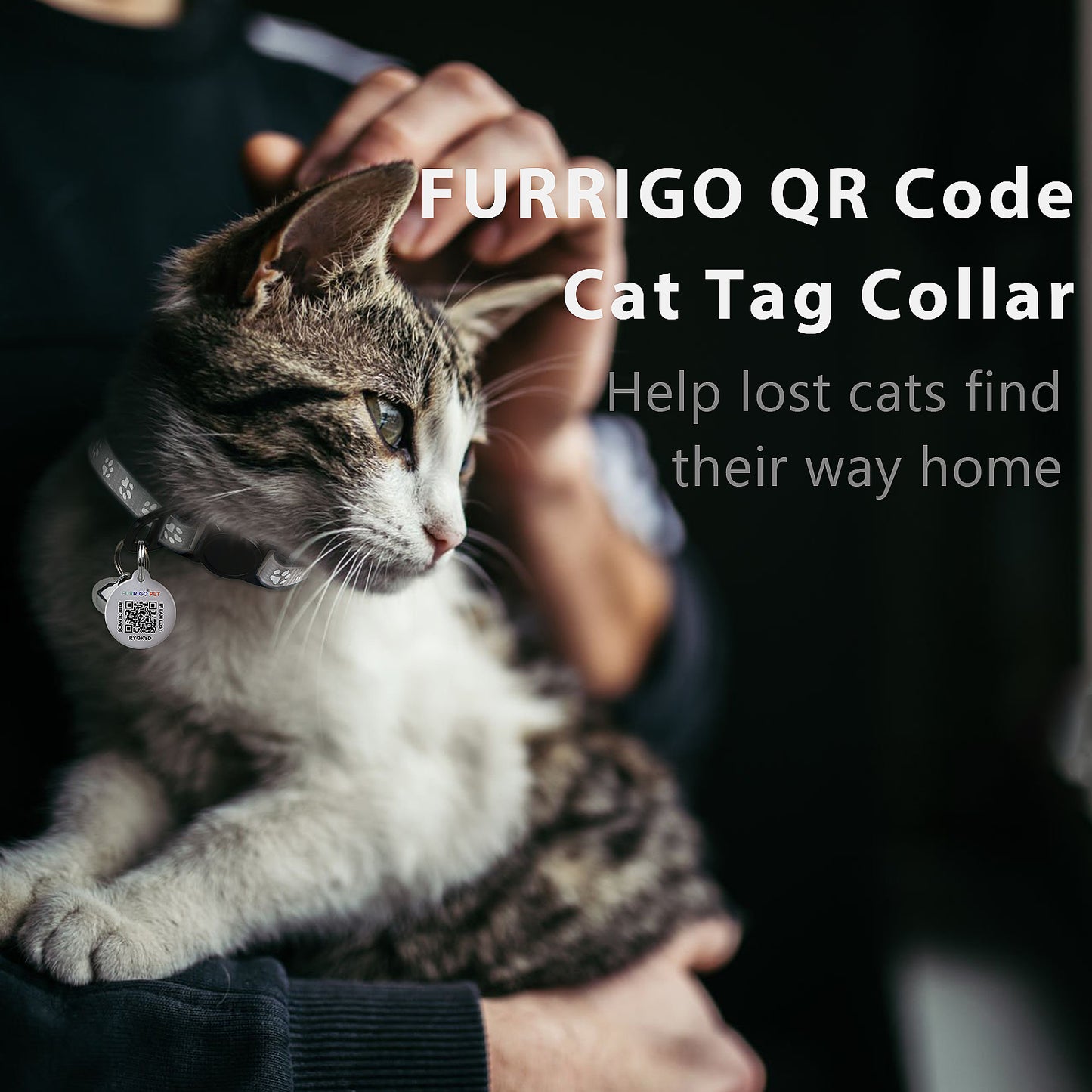 Breakaway Cat Collar with QR Code Tag