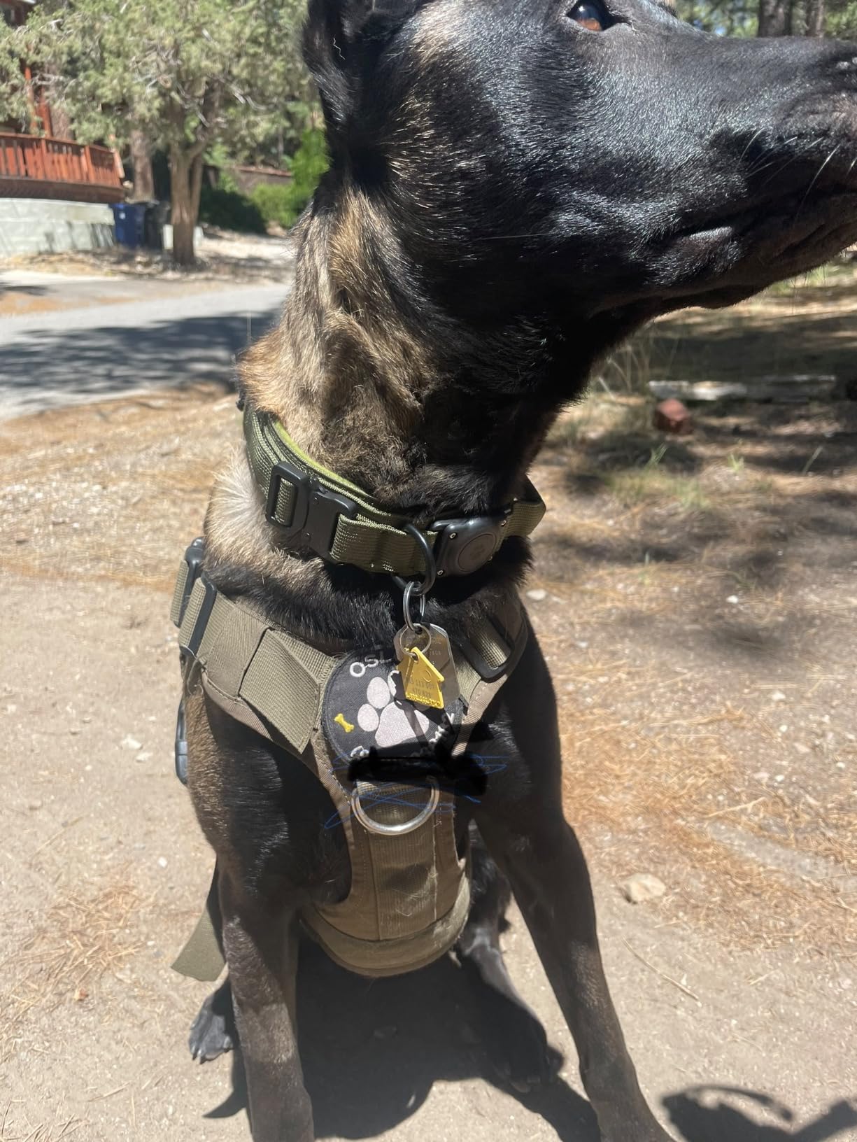 Tactical AirTag Dog Collar, 100% Waterproof