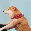 Padded Reflective AirTag Dog Collar