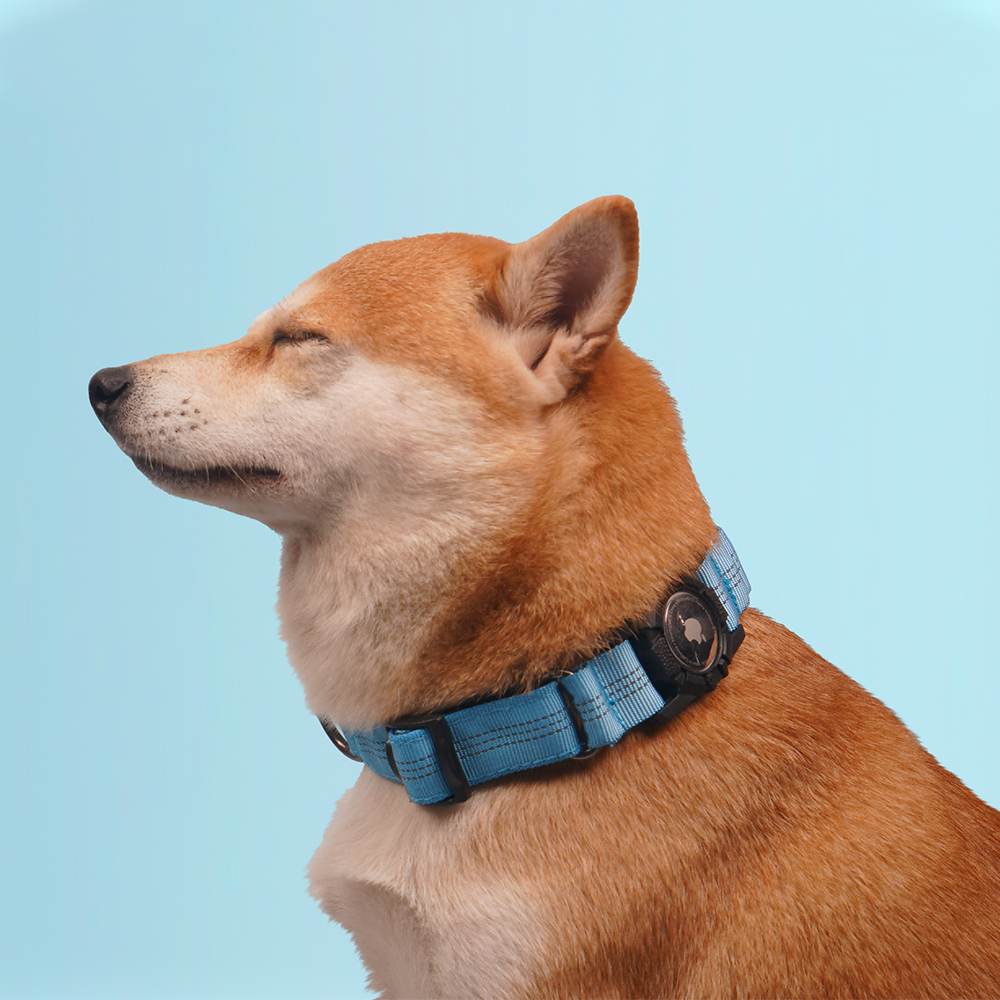 Reflective AirTag Dog Collar