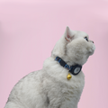 Breakaway AirTag Cat Collar Flower Pattern