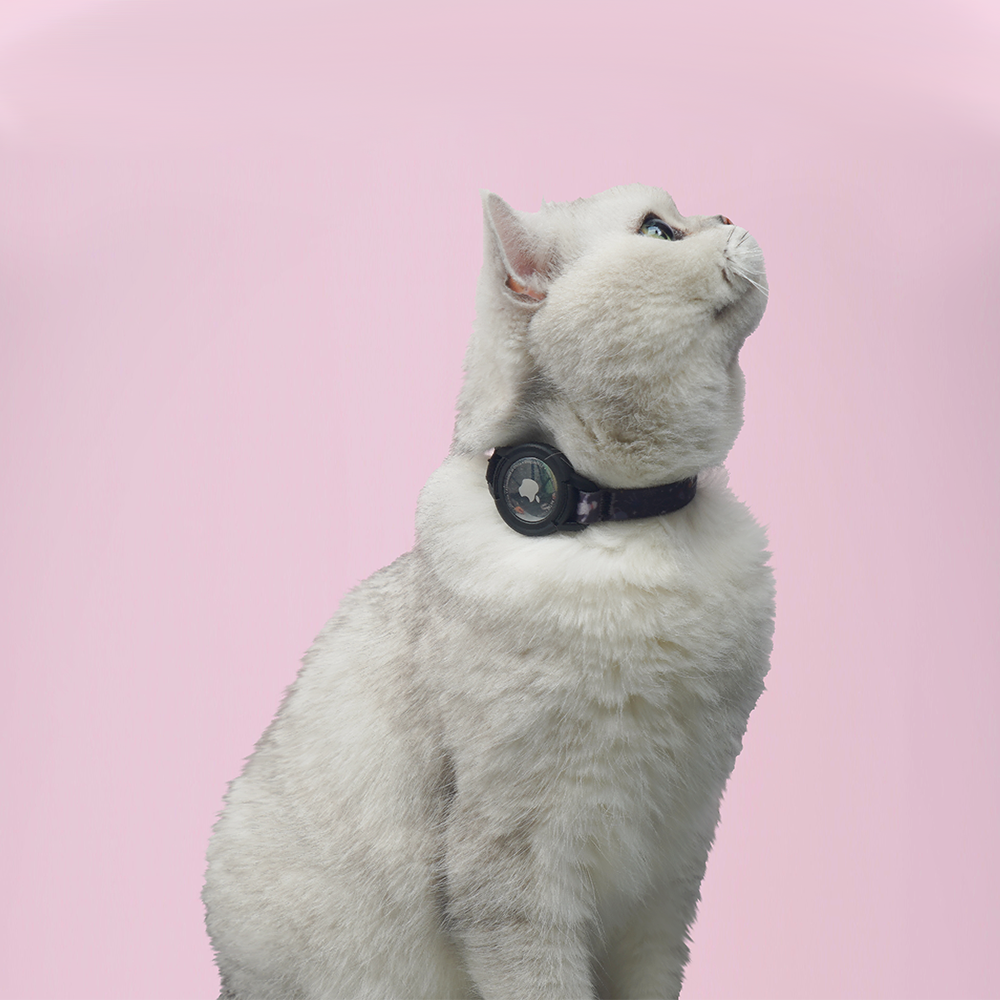 Anti Scratch AirTag Cat Collar