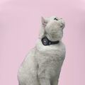 Anti-Scratch AirTag Cat Collar