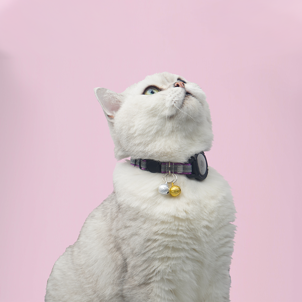 TAGHELP Reflective Breakaway Cat Collar With QR Code ID Tag & Bell - Adjustable 7.5-12.5 Inch (2 Pack, Pink)